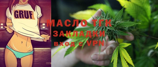 гидра Богородицк