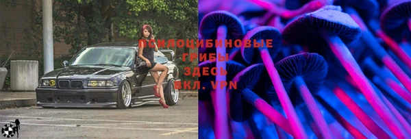2c-b Богородск