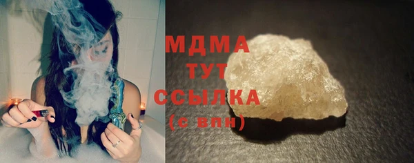 гидра Богородицк
