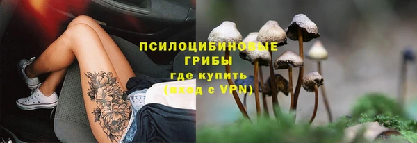 гидра Богородицк