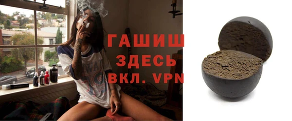 гидра Богородицк