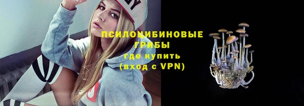 дурь Богданович
