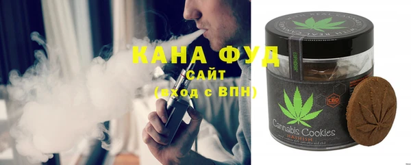 гидра Богородицк