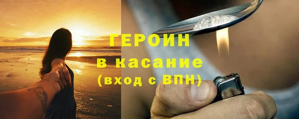 гидра Богородицк