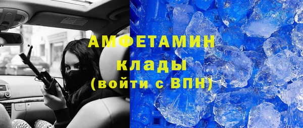 гидра Богородицк