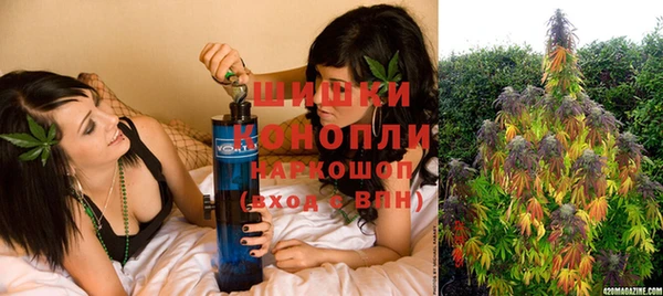 дурь Богданович