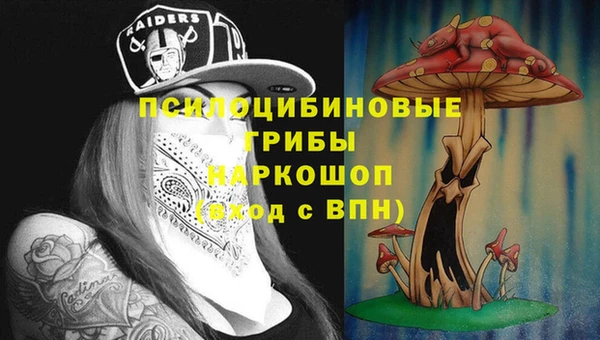 дурь Богданович
