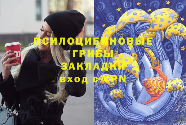 гидра Богородицк