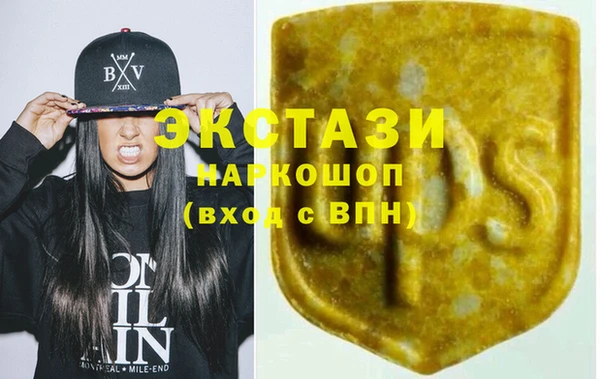 гидра Богородицк