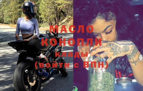 гидра Богородицк