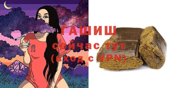 гидра Богородицк