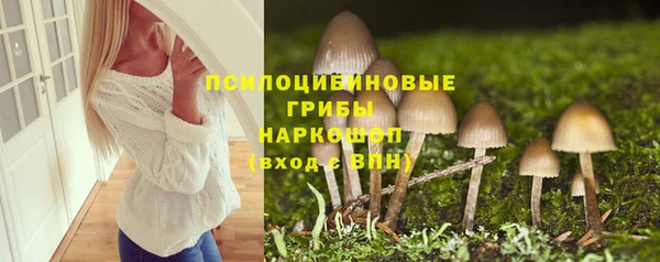 2c-b Богородск