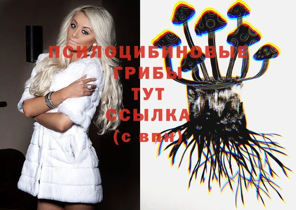гидра Богородицк