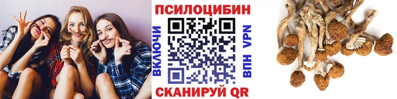 OMG вход  Верхний Уфалей  Псилоцибиновые грибы Magic Shrooms 